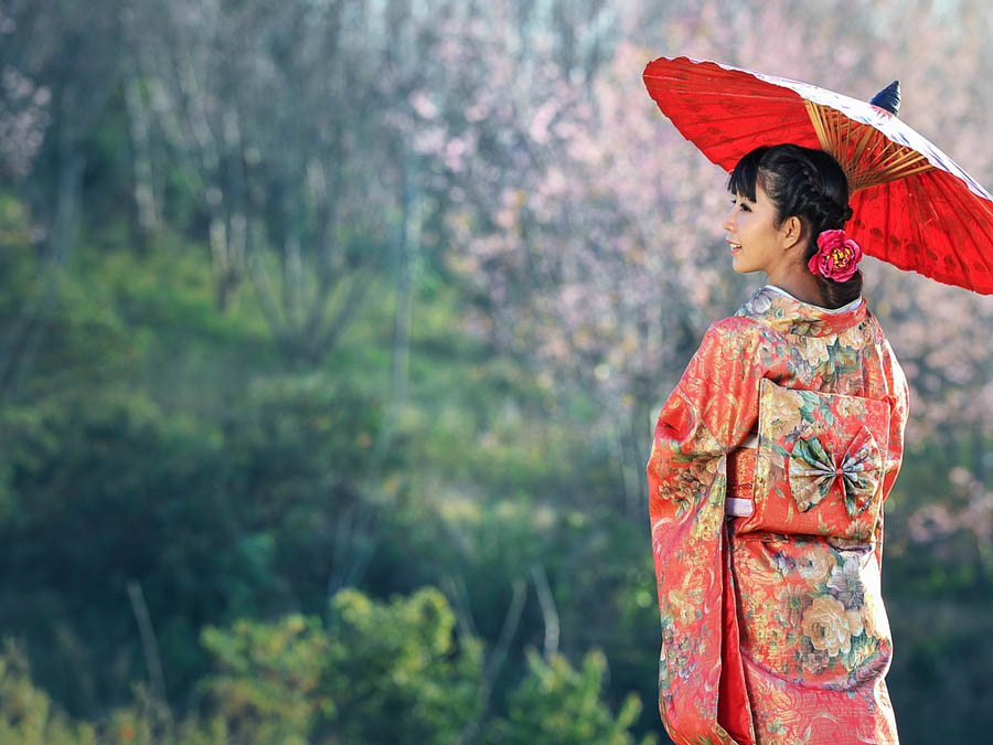 oiran-y-geishas-diferencias-entre-las-mujeres-japonesas